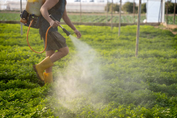 Best Affordable Pest Control Services  in Country Clu, CA