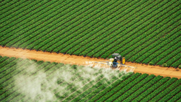 Insect Control in Country Clu, CA