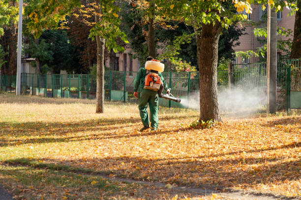 Pest Control Cost in Country Clu, CA