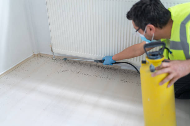 Best Bed Bug Extermination  in Country Clu, CA